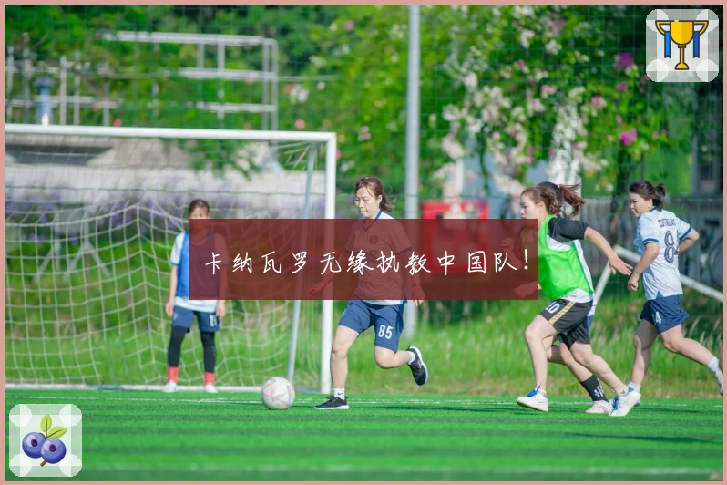 卡纳瓦罗无缘执教中国队！