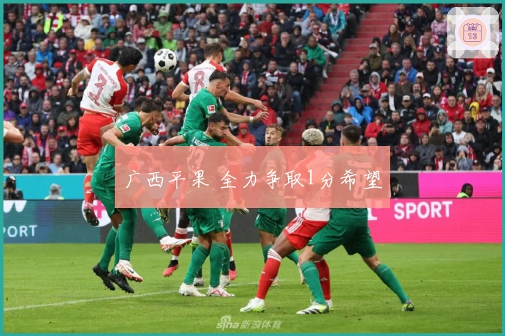 广西平果 全力争取1分希望