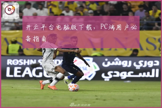 开云平台电脑版下载,PC端用户必备指南