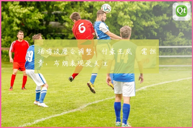 杨鸣谈磨合调整，付豪王岚嵚需担责，布朗表现受关注