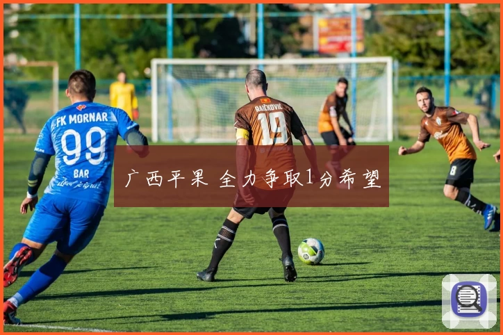 广西平果 全力争取1分希望