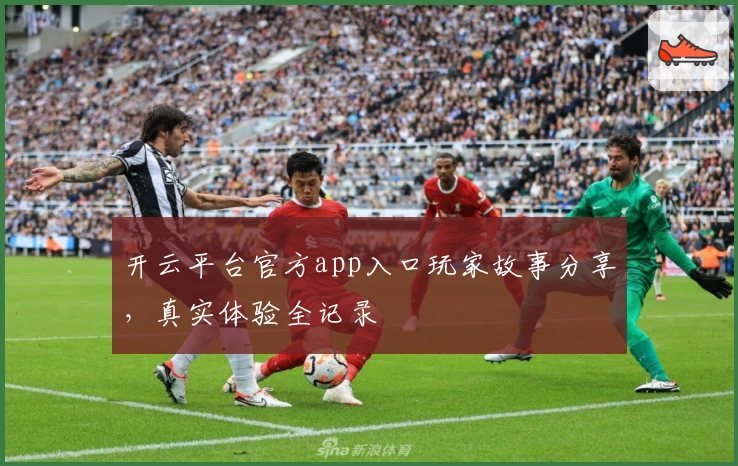 开云平台官方app入口玩家故事分享，真实体验全记录