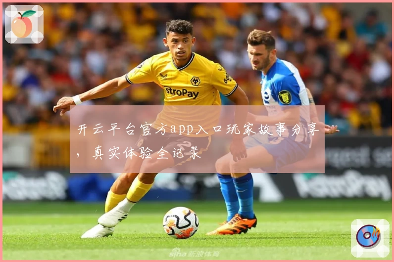 开云平台官方app入口玩家故事分享,真实体验全记录
