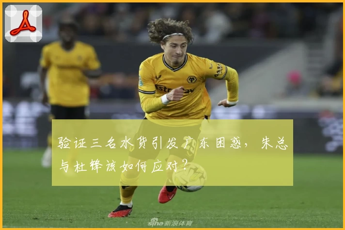 验证三名水货引发广东困惑，朱总与杜锋该如何应对？